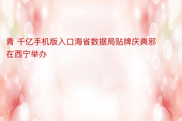 青 千亿手机版入口海省数据局贴牌庆典邪在西宁举办